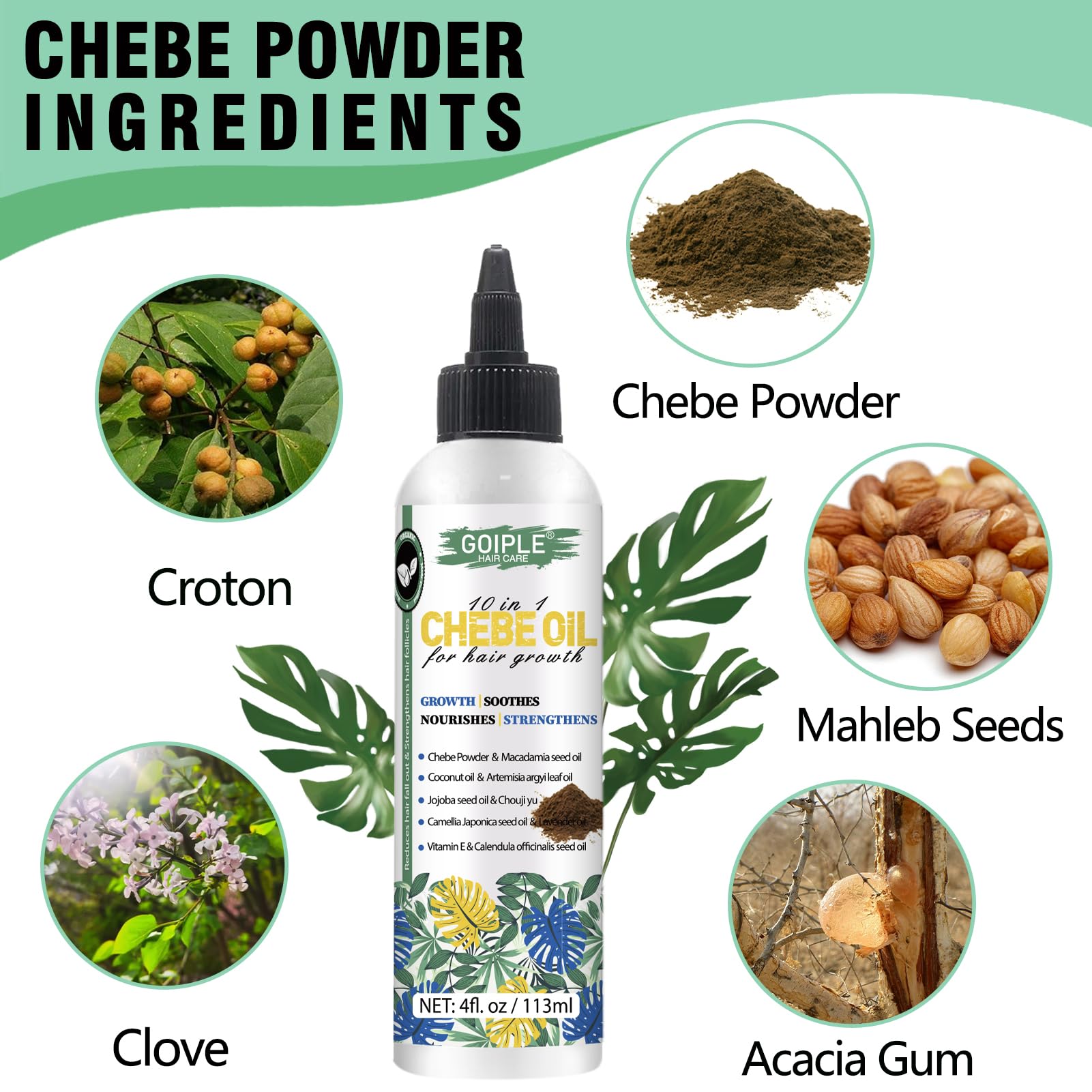 Natural Chebe Hair Oil for Hair Growth